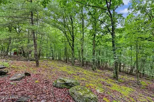 108 Owl Ct, Lackawaxen, PA 18435 - Photo 56
