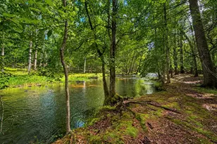 159 Stream Ct, Bushkill, PA 18324 - Photo 2