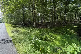 Mountain Top Dr, Dingmans Ferry, PA 18328 - Photo 1