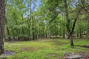 204 Mountain Lake Dr, Dingmans Ferry, PA 18328 - Photo 18