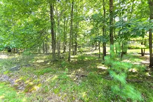 136 Gunstock Ln, Tafton, PA 18464 - Photo 26