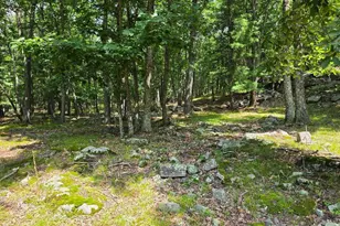 136 Gunstock Ln, Tafton, PA 18464 - Photo 24