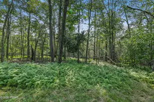 19 Conservancy Ct, Gouldsboro, PA 18424 - Photo 42