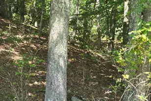 Lot 3 Renee Dr, Dingmans Ferry, PA 18328 - Photo 1