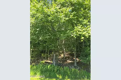 Lot 3 Renee Drive, Dingmans Ferry, PA 18328 - Photo 2