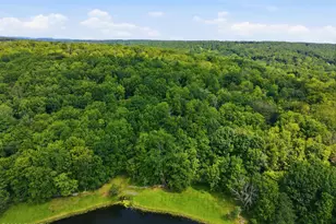 15 Tamarack Ln, Lake Ariel, PA 18436 - Photo 40