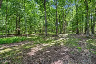 198 Upper Lakeview Dr, Hawley, PA 18428 - Photo 60