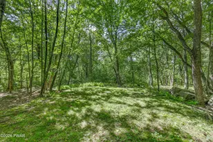 132 Pommel Dr, Lords Valley, PA 18428 - Photo 26
