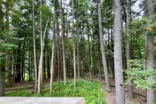 1117 Owl Ct, Bushkill, PA 18324 - Photo 30