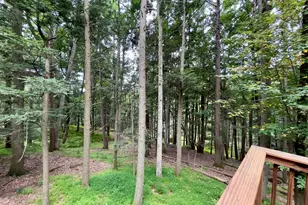 1117 Owl Ct, Bushkill, PA 18324 - Photo 28