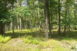 Lot 178A Majestic Ct, East Stroudsburg, PA 18302 - Photo 1