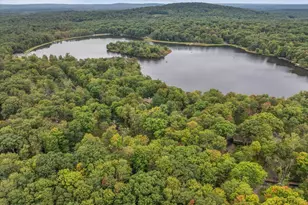256 Partridge Dr, Pocono Lake, PA 18347 - Photo 48
