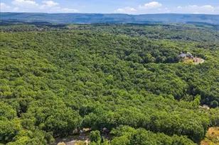 5231 Woodbridge Dr E, Bushkill, PA 18324 - Photo 58