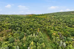 2861 River Rd, Damascus, PA 18415 - Photo 46