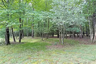 306 Springbrook Rd, Shohola, PA 18458 - Photo 40
