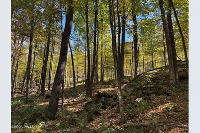 81 Ridge Road, Lake Ariel, PA 18436 - Photo 20