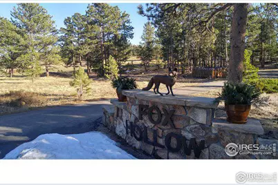0 Fox Acres Dr E, Red Feather Lakes, CO 80545 - Photo 4