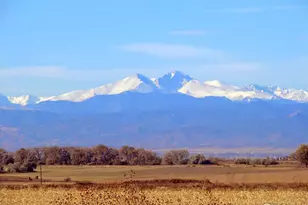 15303 Ypsilon Circle, Mead, CO 80542 - Photo 1