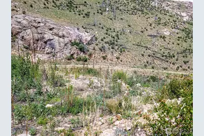 151 Black Mountain Ct, Livermore, CO 80536 - Photo 10