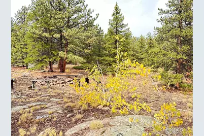 11650 Peak To Peak Highway, Allenspark, CO 80510 - Photo 2