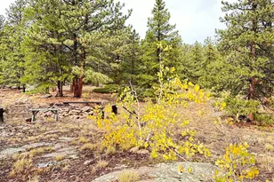 11650 Peak to Peak Hwy, Allenspark, CO 80510 - Photo 2