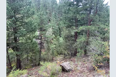 875 Pine Tree Dr, Estes Park, CO 80517 - Photo 16