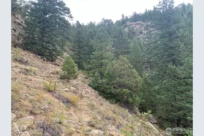 875 Pine Tree Dr, Estes Park, CO 80517 - Photo 12