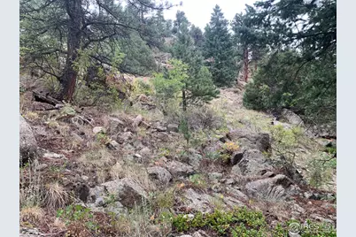 875 Pine Tree Dr, Estes Park, CO 80517 - Photo 20