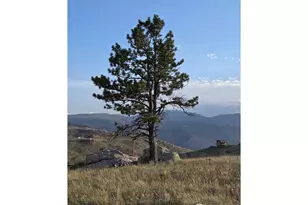 443 Meadow Mountain Dr, Livermore, CO 80536 - Photo 1