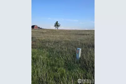 443 Meadow Mountain Dr, Livermore, CO 80536 - Photo 4