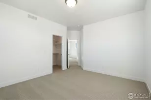 838 Loess Ln, Windsor, CO 80550 - Photo 30