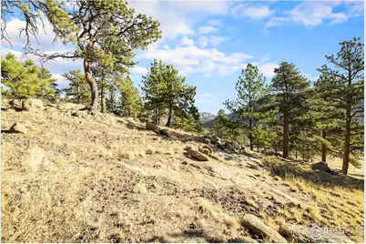 2630 Ridge Ln, Estes Park, CO 80517 - Photo 10