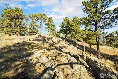 2630 Ridge Ln, Estes Park, CO 80517 - Photo 8