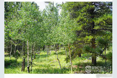 246 Tahosa Park South Rd, Allenspark, CO 80510 - Photo 1
