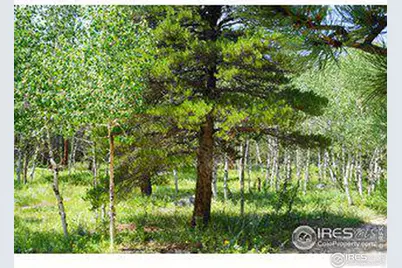 246 Tahosa Park South Rd, Allenspark, CO 80510 - Photo 8