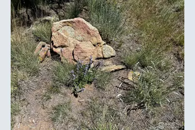 62 White Slide Mountain Ct, Livermore, CO 80536 - Photo 6