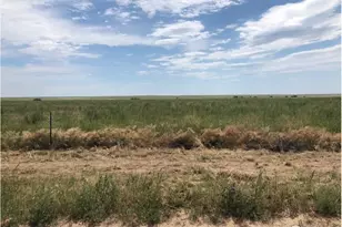 Lot I County Road 43 and 96, Pierce, CO 80650 - Photo 1