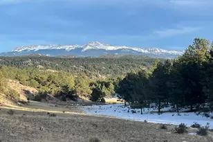 0 Langnis Rd, Florissant, CO 80816 - Photo 1