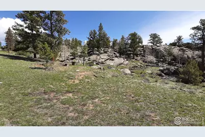 102 Mount Princeton Ct, Livermore, CO 80536 - Photo 4