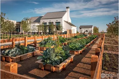 6375 Elk Pass Ln, Loveland, CO 80538 - Photo 38