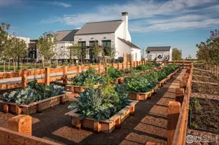 6375 Elk Pass Ln, Loveland, CO 80538 - Photo 38