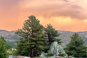 9200 Old Flowers Rd, Bellvue, CO 80512 - Photo 46