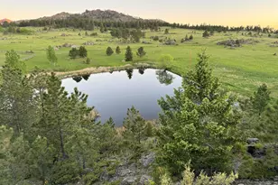 9200 Old Flowers Rd, Bellvue, CO 80512 - Photo 12