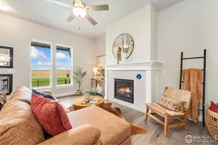 6228 Vernazza Way, Windsor, CO 80550 - Photo 6