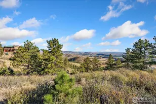 6508 Jackpine Dr, Bellvue, CO 80512 - Photo 26