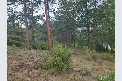 1532 Fox Acres Dr W, Red Feather Lakes, CO 80545 - Photo 10