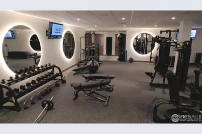 2748 Prairie Flax St, Berthoud, CO 80513 - Photo 38