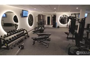 2748 Prairie Flax St, Berthoud, CO 80513 - Photo 38