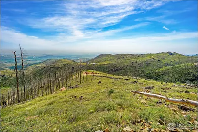 1600 Whale Rock Rd, Bellvue, CO 80512 - Photo 12