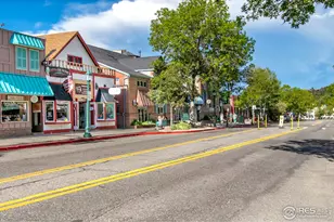 1640 Continental Peaks Cir, Estes Park, CO 80517 - Photo 10